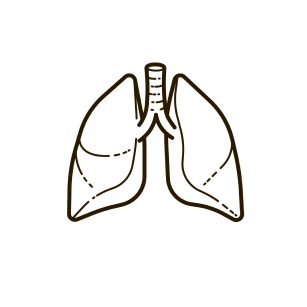 lung