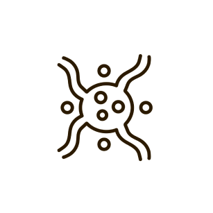 cellule